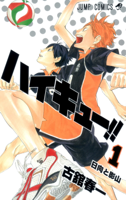 Haikyu ES Cover Image